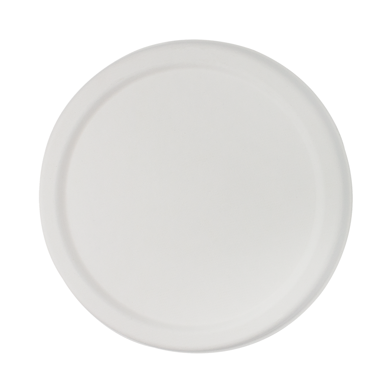 甘蔗渣食物容器