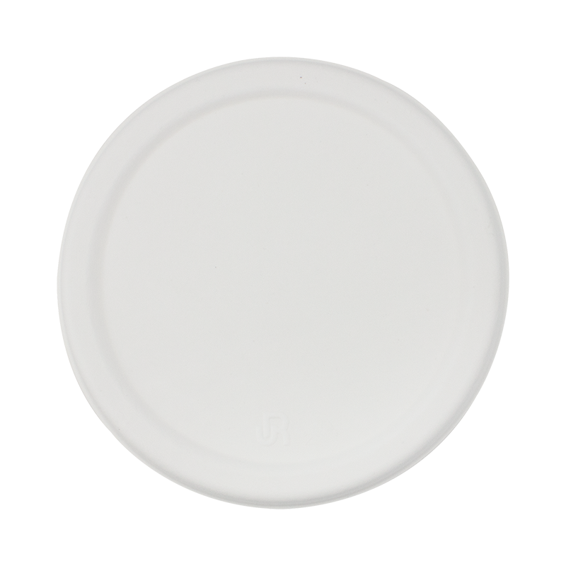 甘蔗渣食物容器