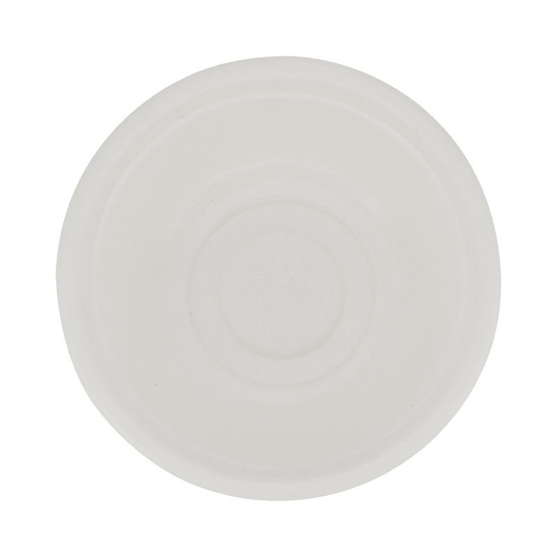 甘蔗渣食物容器